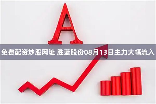 免费配资炒股网址 胜蓝股份08月13日主力大幅流入